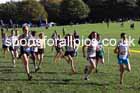 Boys under-15s, 2024 Northern Cross Country Relays, Graves Park, Sheffield.   Photo: David T. Hewitson/Sports for All Pics